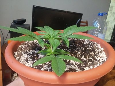 IMG20231106140934.jpg IMG20231106140934.jpg