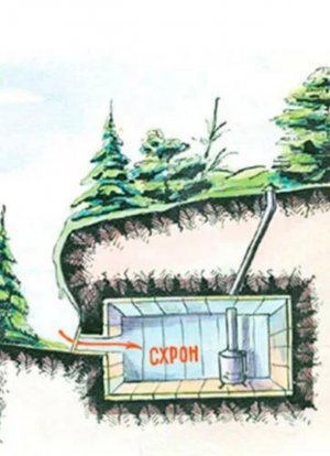 20231107_192649.jpg 20231107_192649.jpg