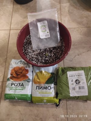 IMG_20231018_221939.jpg IMG_20231018_221939.jpg