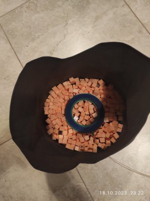 IMG_20231018_232210.jpg IMG_20231018_232210.jpg