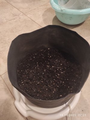 IMG_20231018_233134.jpg IMG_20231018_233134.jpg