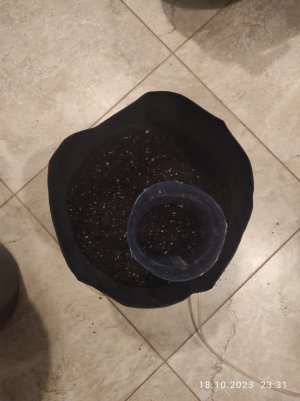 IMG_20231018_233152.jpg IMG_20231018_233152.jpg