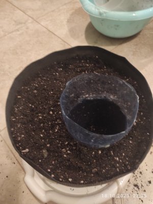 IMG_20231018_233547.jpg IMG_20231018_233547.jpg