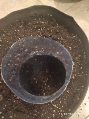 IMG_20231018_233552.jpg IMG_20231018_233552.jpg