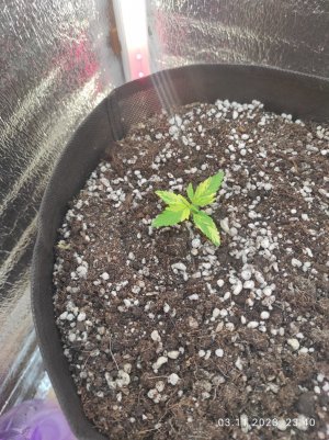 IMG_20231103_234002.jpg IMG_20231103_234002.jpg