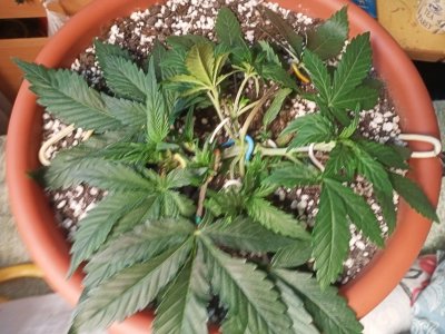 IMG20231112132238.jpg IMG20231112132238.jpg