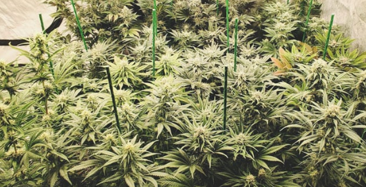 1699903038363.png 1699903038363.png