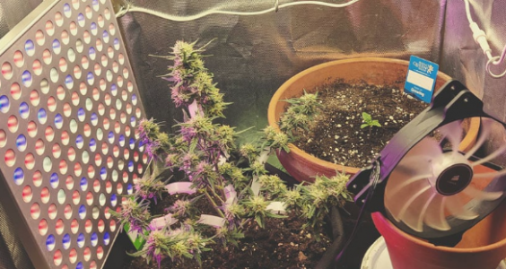 1699903128181.png 1699903128181.png