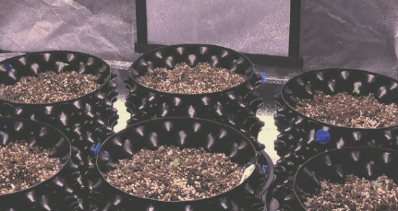 1699903173673.png 1699903173673.png