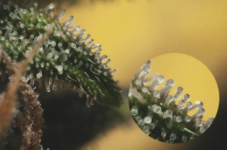 1699970052267.png 1699970052267.png