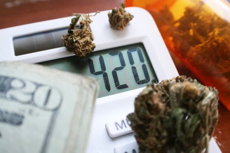 бутон-марихуаны-на-калькуляторе-с-деньгах-высококачественных-106597871.jpg бутон-марихуаны-на-калькуляторе-с-деньгах-высококачественных-106597871.jpg