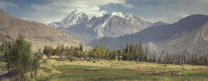 1701363637512.png 1701363637512.png