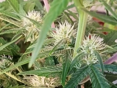 IMG20231201121143.jpg IMG20231201121143.jpg