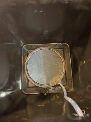 IMG_3768.jpeg IMG_3768.jpeg