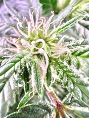 IMG_3856.jpeg IMG_3856.jpeg