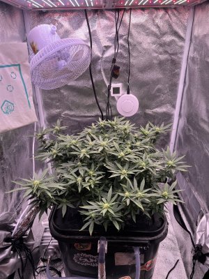 IMG_3859.jpeg IMG_3859.jpeg