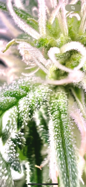 IMG_3861.png IMG_3861.png