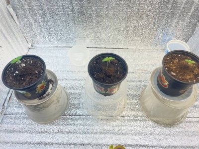 f241f6c3-9711-46d6-9f27-6ef15ab3a09a.jpg f241f6c3-9711-46d6-9f27-6ef15ab3a09a.jpg