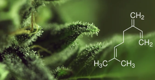 1702492606660.png 1702492606660.png