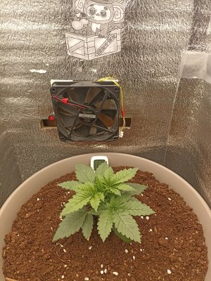 IMG_2023_12_18_21_40_18_1353750533566935615905.jpg IMG_2023_12_18_21_40_18_1353750533566935615905.jpg