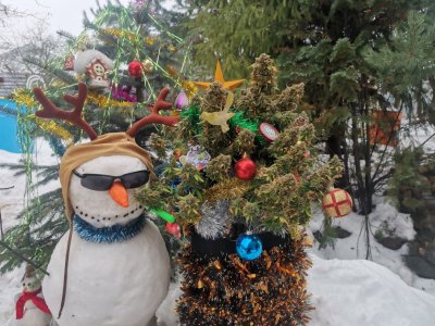 IMG_20231230_132226.jpg IMG_20231230_132226.jpg