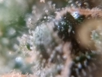 IMG-20231231-WA0007.jpg IMG-20231231-WA0007.jpg