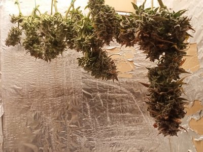 IMG20240108175234.jpg IMG20240108175234.jpg