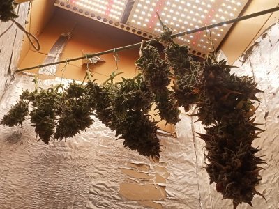 IMG20240108175146.jpg IMG20240108175146.jpg