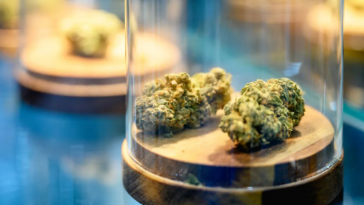 1704996606736.png 1704996606736.png