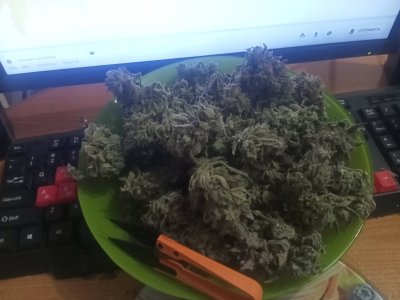 IMG20240112171216.jpg IMG20240112171216.jpg