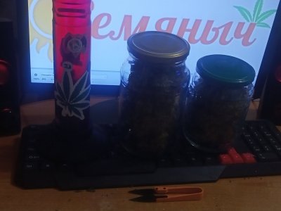 IMG20240112171840.jpg IMG20240112171840.jpg