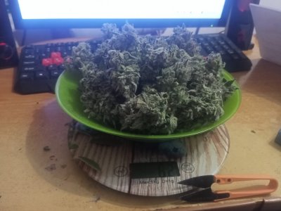 IMG20240112171123.jpg IMG20240112171123.jpg