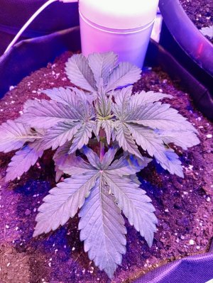 photo1705326104 (1).jpeg