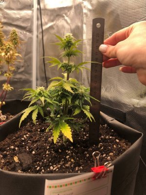 2024-01-17 20.18.22.jpg