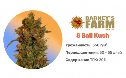 8 Ball Kush 8 Ball Kush