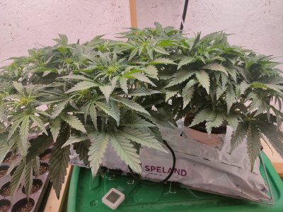 IMG20240123163640.jpg IMG20240123163640.jpg