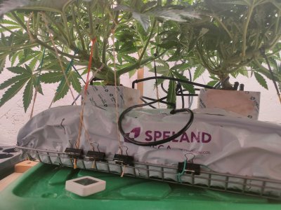 IMG20240123163647.jpg IMG20240123163647.jpg