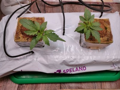 IMG20231231104123.jpg IMG20231231104123.jpg