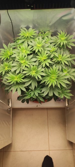 1000007942.jpg 1000007942.jpg