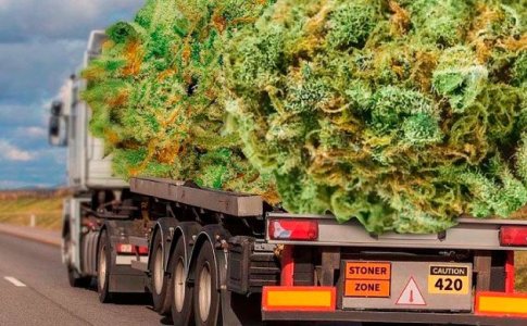 Сбор урожая автоцвета. Харвест Сбор урожая автоцвета. Харвест