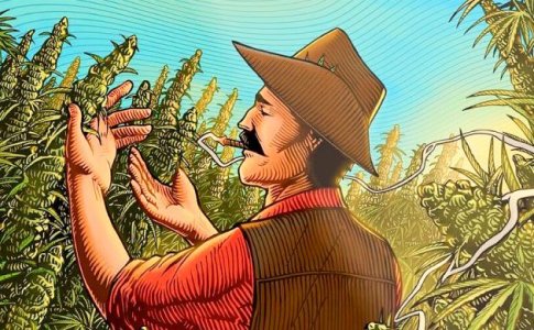 выращивание автоцветов выращивание автоцветов