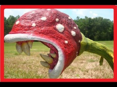 hqdefault.jpg hqdefault.jpg