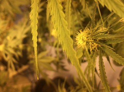 696D4C9B-2D81-4908-BE01-C47D679641C3.jpeg 696D4C9B-2D81-4908-BE01-C47D679641C3.jpeg