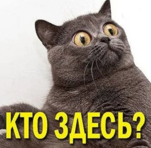 IMG_5227.jpeg IMG_5227.jpeg