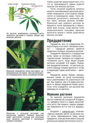 Снимок экрана (149).png