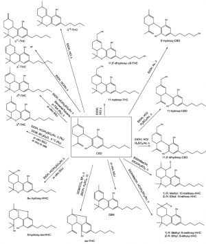 picture11674749894328.png picture11674749894328.png