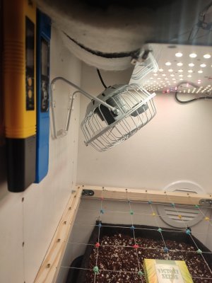 IMG_20240319_001019.jpg IMG_20240319_001019.jpg