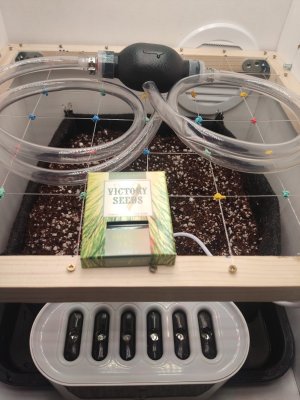 IMG_20240319_000953.jpg IMG_20240319_000953.jpg