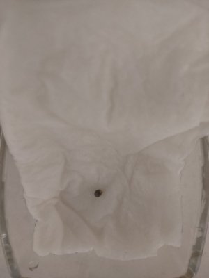 IMG_20240319_000943.jpg IMG_20240319_000943.jpg