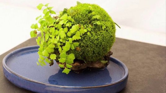 maxresdefault (3).jpg